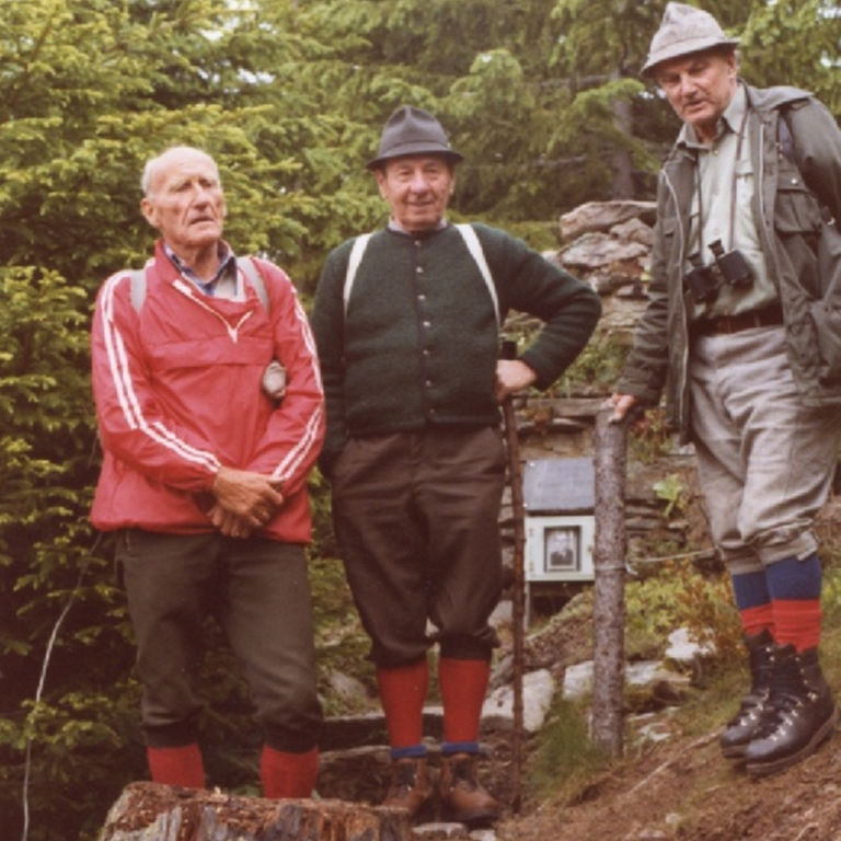 Die Österreichische Freiheitsfront und die Partisanengruppe in der Obersteiermark