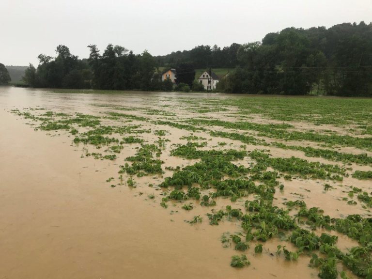 Juni-Unwetter brachten Millionenschäden für Österreichs Landwirtschaft