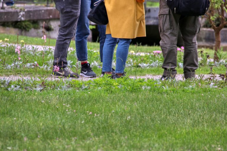 20 Prozent weniger Einbürgerungen im ersten Halbjahr