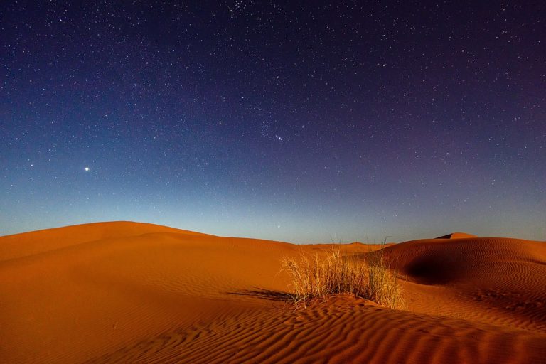 Grüner Mauerbau in Afrika