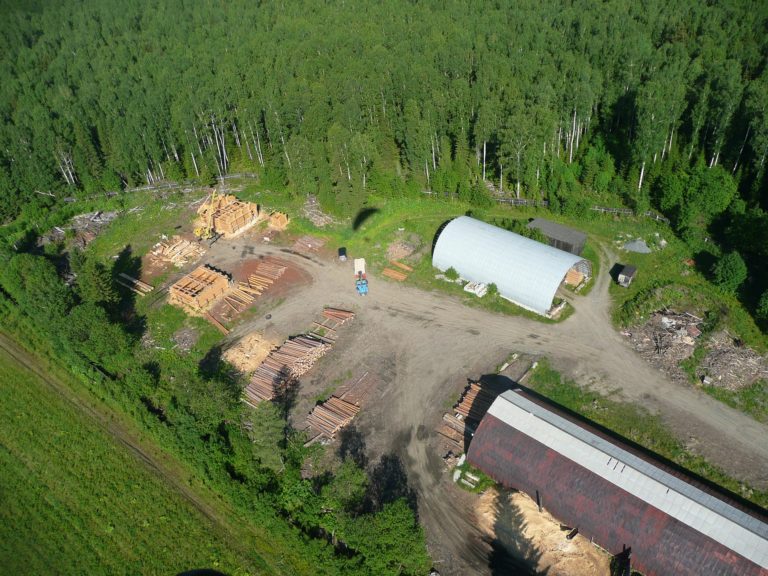 Rohstoffpreise steigen: Holz wird teurer