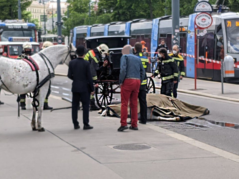 Fiakerpferd verendet auf Wiener Ringstraße