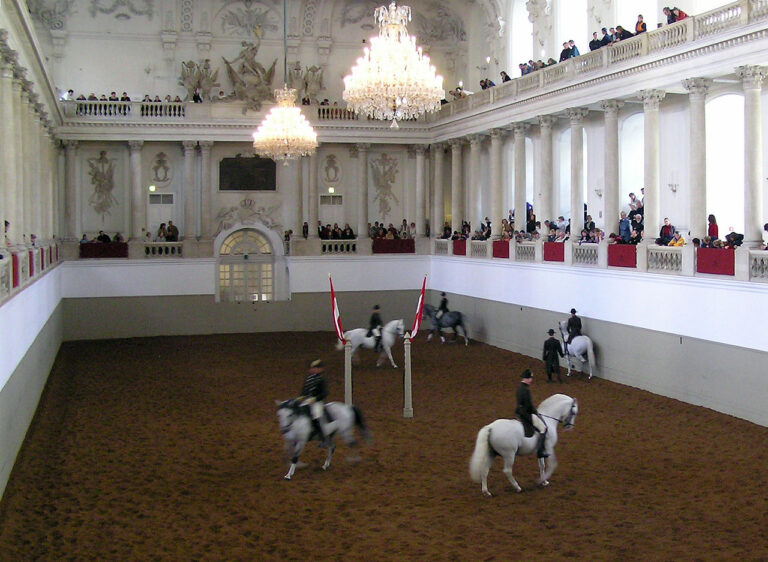 Rechnungshof kritisiert Hofreitschule: Lipizzaner mit Bewegungsmangel