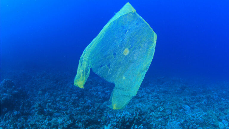 Tausende Tonnen Plastikmüll im Mittelmeer