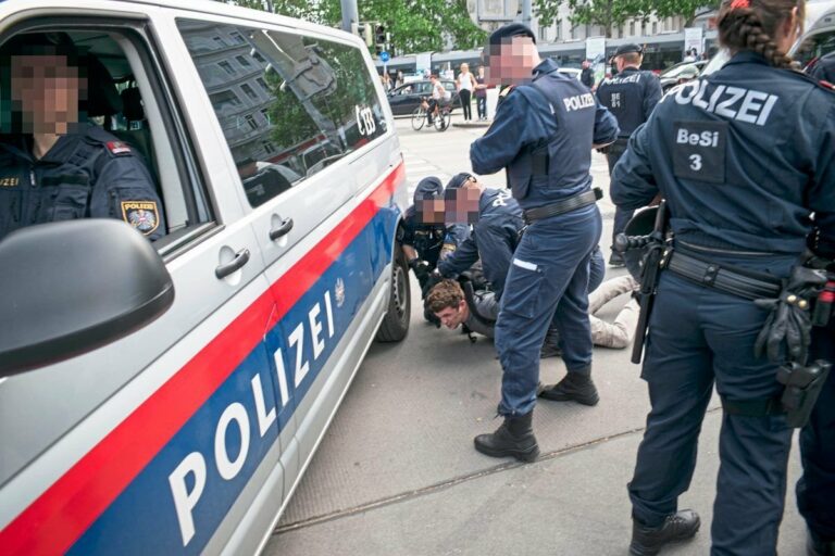 Milde Urteile nach Polizeigewalt bei Klimademo