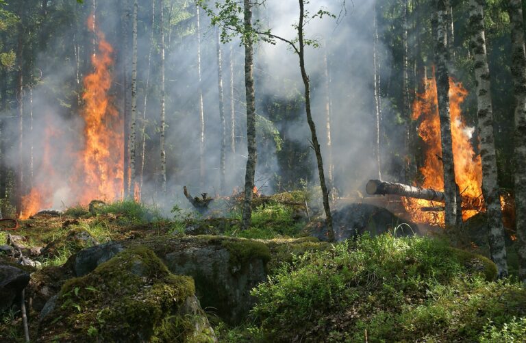 Waldbrand in Niederösterreich weiterhin außer Kontrolle