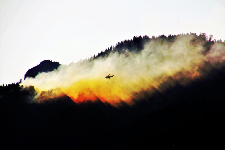 Gesundheitsschäden durch Waldbrände