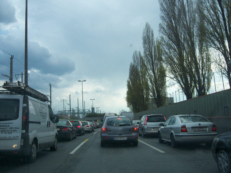 Lobau-Tunnel: Mutiger Schritt oder grüner Populismus?