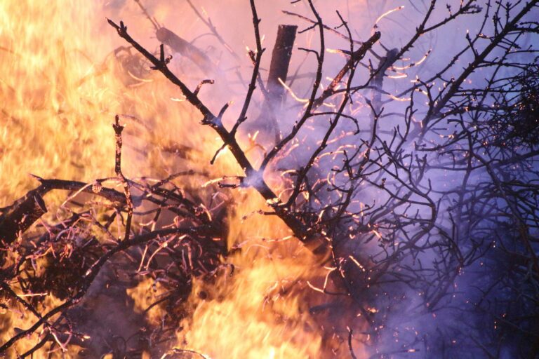 Österreichische Feuerwehr in Frankreich