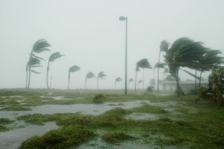 Wahrscheinlich schlimmster Hurrikan in Floridas Geschichte