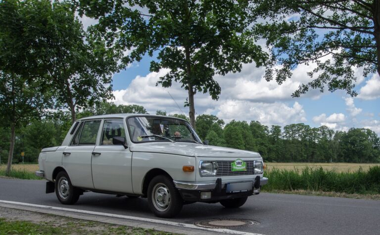 Probeführerschein entzogen wegen Drogen