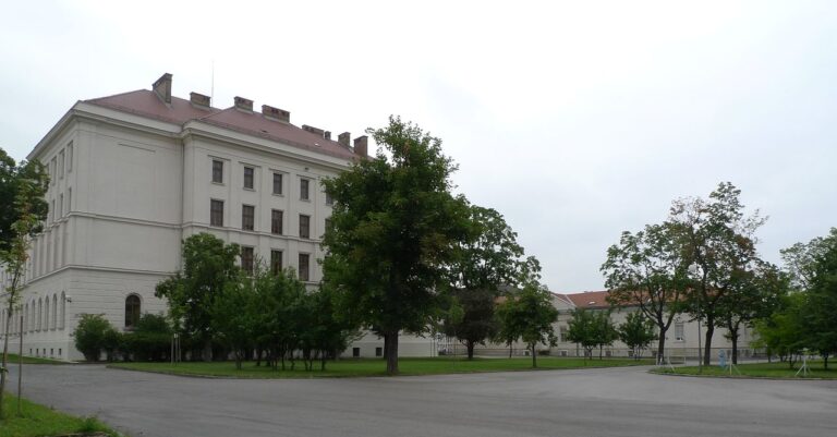 Rechtsextreme provozieren vor Erstaufnahmezentrum Traiskirchen