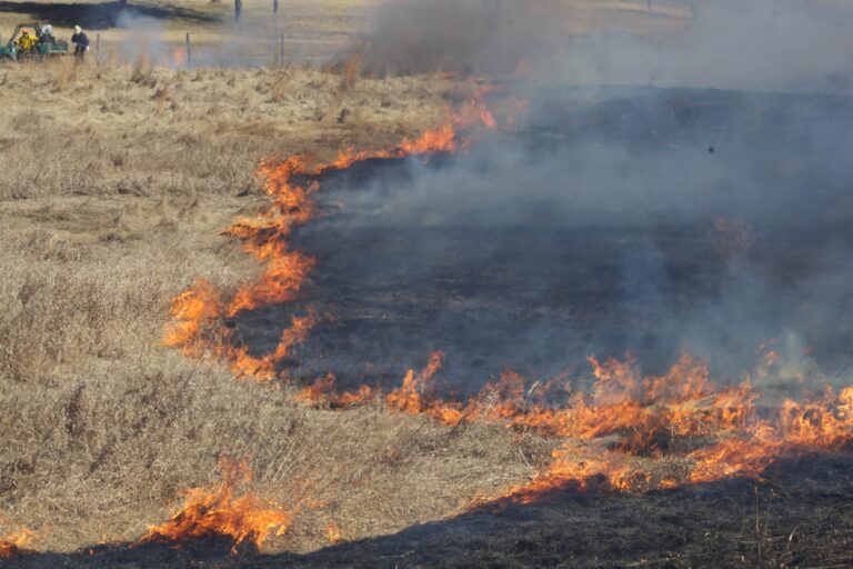 Wegen Trockenheit und Hitze: Hohe Waldbrandgefahr