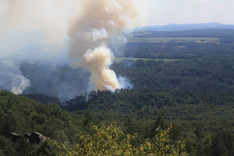 Waldbrände in Griechenland