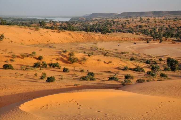 Putsch in Niger Intervention angekündigt