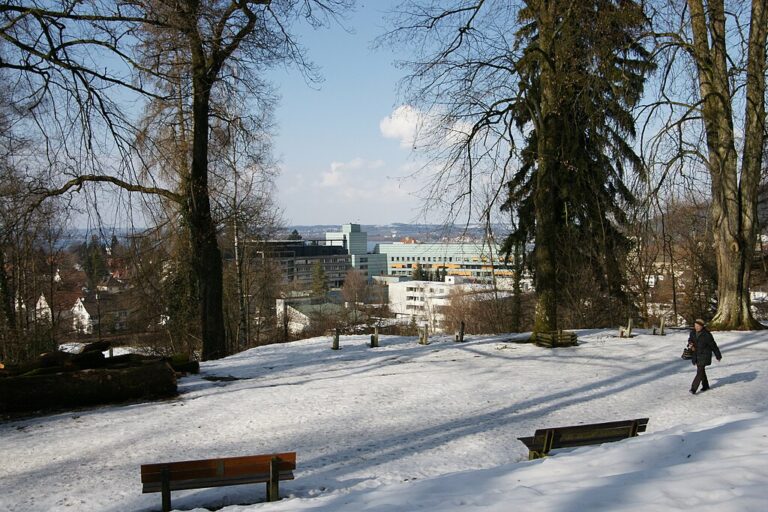 Erstmals Schwangerschaftsabbruch in Vorarlberger Landeskrankenhaus möglich