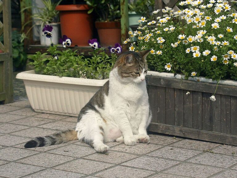 Fat Cat Day 2024: Millionengagen für Ausbeutungsmanager