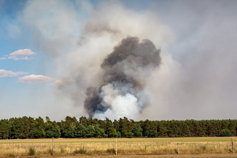 Verheerende Waldbrände in Chile: Zahl der Toten steigt stetig an