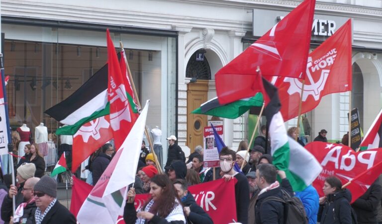 Solidaritätsdemo für Palästina in Wien: Stoppt den Genozid!