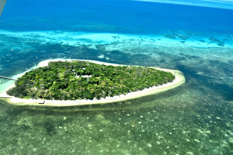 Korallenbleiche im Great Barrier Reef