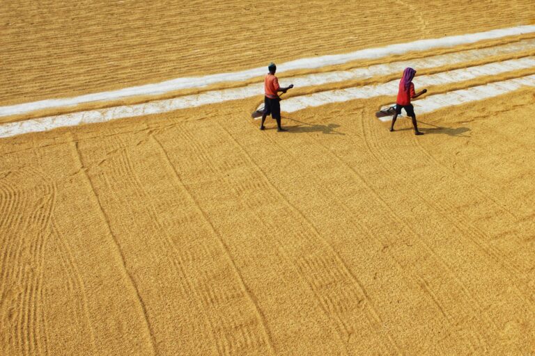 Arbeiter weltweit zunehmend durch Klimawandel gefährdet