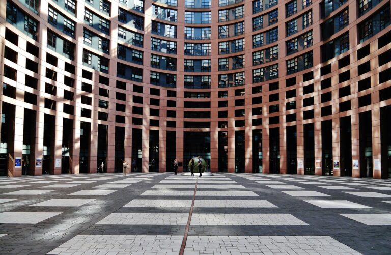 Wie uns das „Europäische Parlament“ Demokratie vorgaukeln will