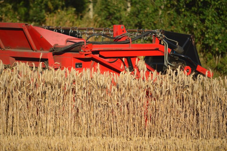 Italien: Chef lässt Erntehelfer sterbend liegen