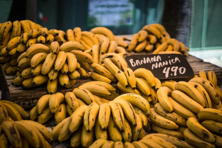 Chiquita verurteilt: Bananenkonzern finanzierte rechtsextreme Todesschwadronen in Kolumbien