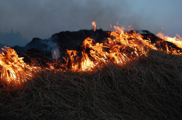 Mattersburg: Flurbrand verbrennt 5.000 Quadratmeter