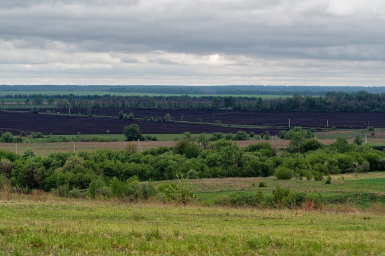 Ukraine träumt von „Sanitätszone“ in der Region Kursk