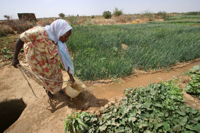 124 Zivilpersonen bei Angriff auf Dorf im Sudan getötet