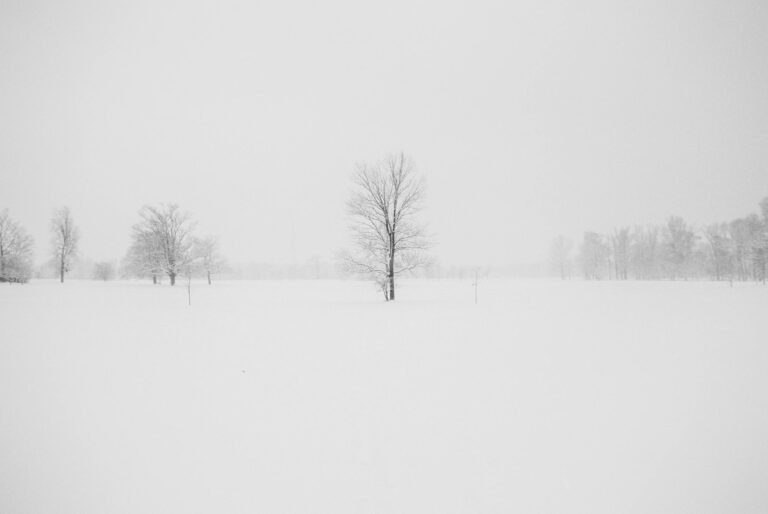 Schneesturm legt Bosnien und Serbien lahm