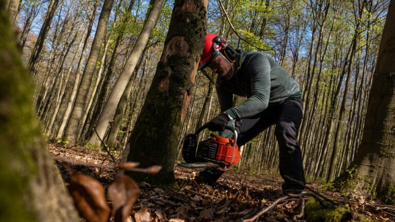 Steigende Forstunfallzahlen in Österreich