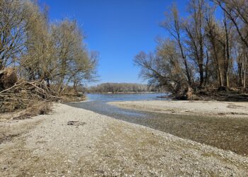 Sanierung des Perschlingdamms verzögert sich weiter