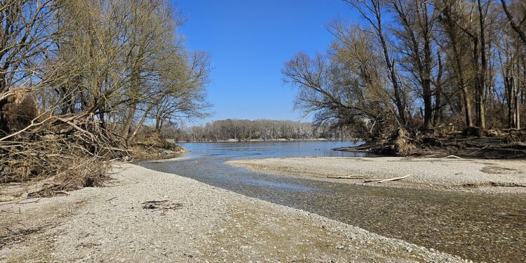 Sanierung des Perschlingdamms verzögert sich weiter