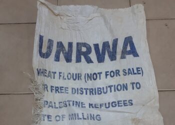 Gefoltert, erniedrigt, missbraucht: Israels Krieg gegen UNRWA