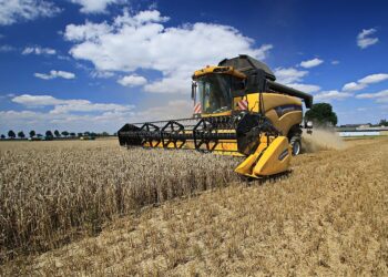 Ukrainische Billigimporte gefährden Existenz der heimischen Landwirte