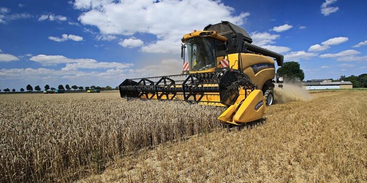 Ukrainische Billigimporte gefährden Existenz der heimischen Landwirte