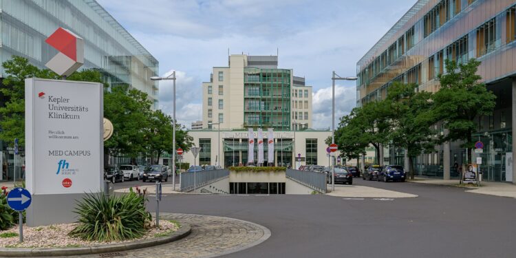 Abweisung von Vergewaltigungsopfer: Gewaltschutz braucht mehr als Sensibilisierung – es braucht soziale Rechte