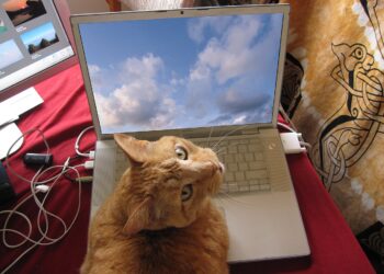 red​.media geschlossen