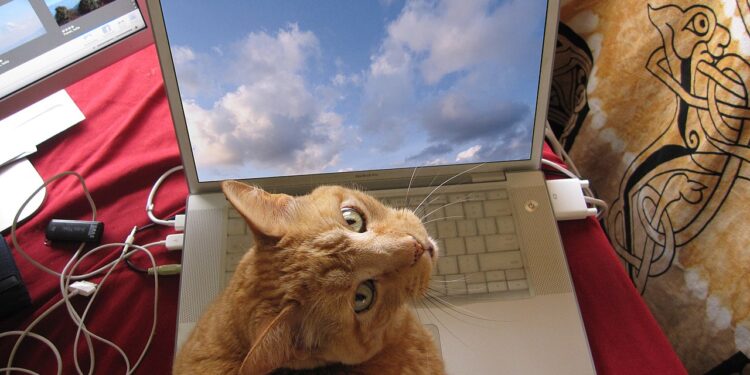 red​.media geschlossen