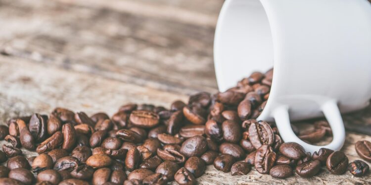 Teuerung nimmt Fahrt auf: Lebensmittelpreise steigen spürbar