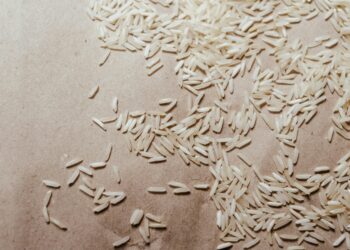 Die Teuerung in Japan und die Reiskrise der LDP-Regierung