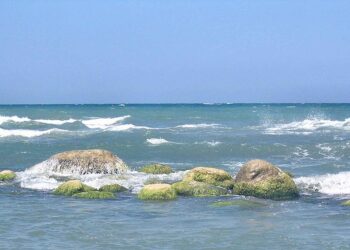 Der stille Tod des Kaspischen Meeres bedroht Menschen und Umwelt in Kasachstan