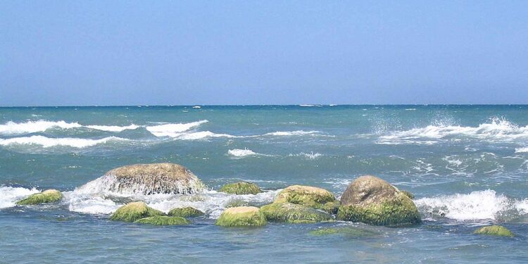 Der stille Tod des Kaspischen Meeres bedroht Menschen und Umwelt in Kasachstan