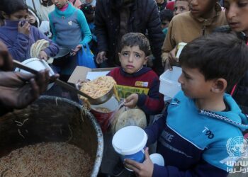 Gaza: Die Verteilzentren, die zu Vernichtungslagern wurden