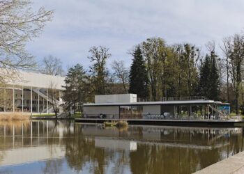 Fischsterben am JKU-Teich: Tiere werden abgefischt