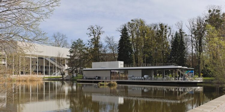 Fischsterben am JKU-Teich: Tiere werden abgefischt