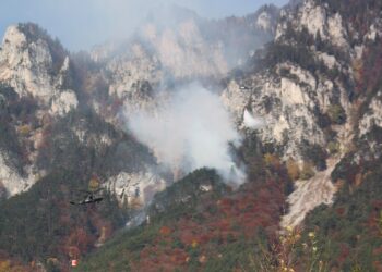 Waldbrand bei Hirschwang