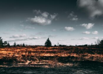 Brände in Kärnten nehmen zu